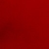 RAL3002 Carmine Red